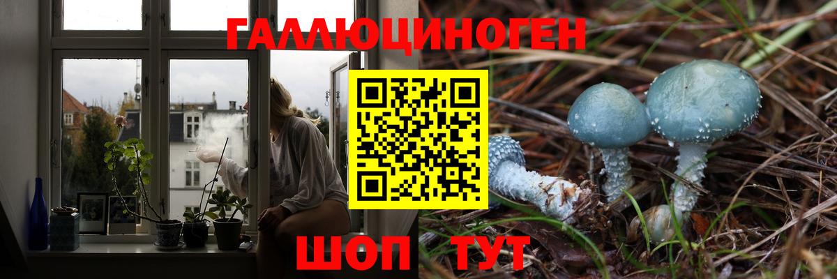 Псилоцибиновые грибы ЛСД  Вход с VPN  Йошкар-Ола 